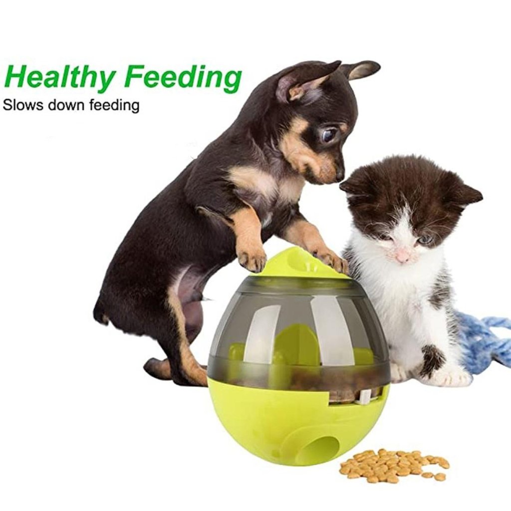 Smart Automatic Pet Feeder - Control Your Pet's Mealtime From Your Phone
